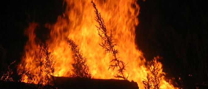 Пожары в степах и лесах